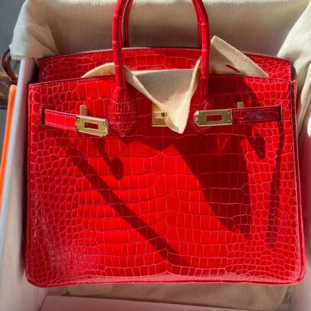 Hermes Birkin 25 Braise Croc GHW